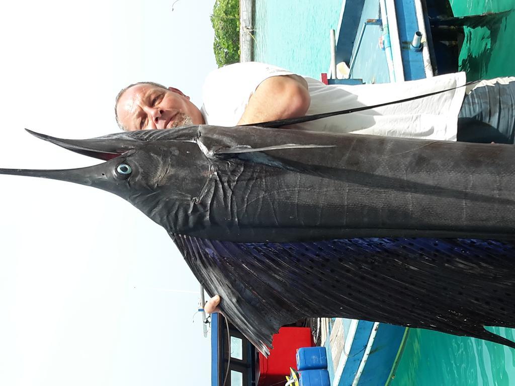 Manta View Guest House Keyodhoo  Zewnętrze zdjęcie